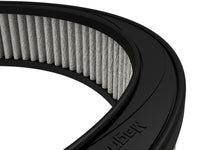 Thumbnail for Photo - Close Up