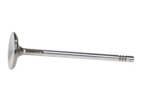 Thumbnail for Manley Ford 4.6L 34mm Diameter 117.35mm Length Race Master Exhaust Valves (Set of 8)