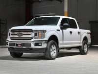 Thumbnail for Photo - Mounted