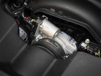 Thumbnail for Photo - Mounted