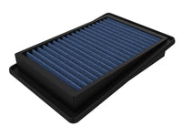 Thumbnail for Photo - Primary