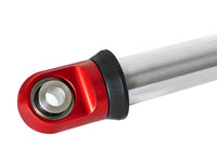 Thumbnail for Photo - Unmounted