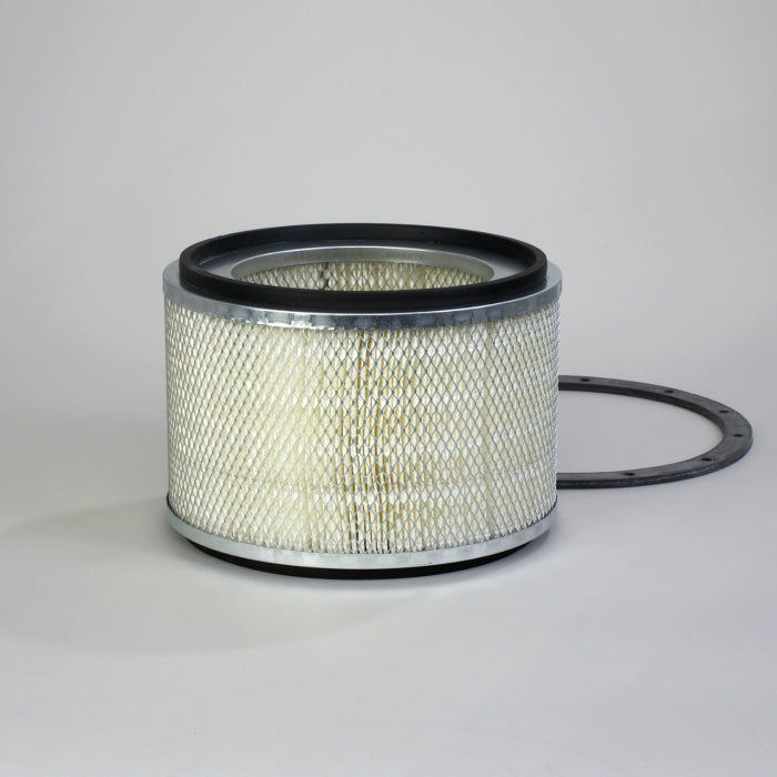 Donaldson P181005 Air Filter