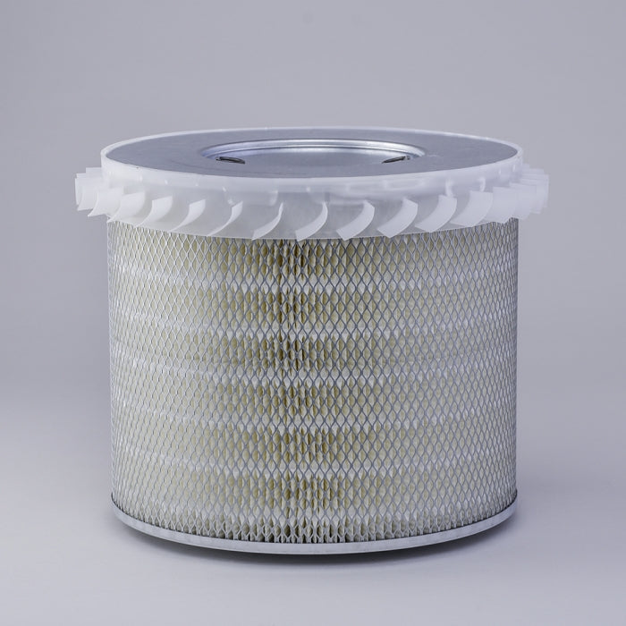 Donaldson P181060 Air Filter