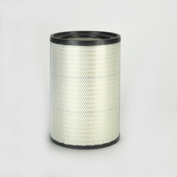 Donaldson P181124 Air Filter