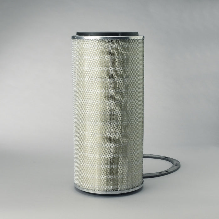 Donaldson P182007 Air Filter