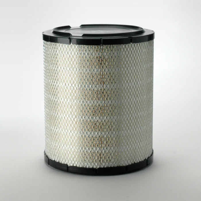 Donaldson P532501 Air Filter