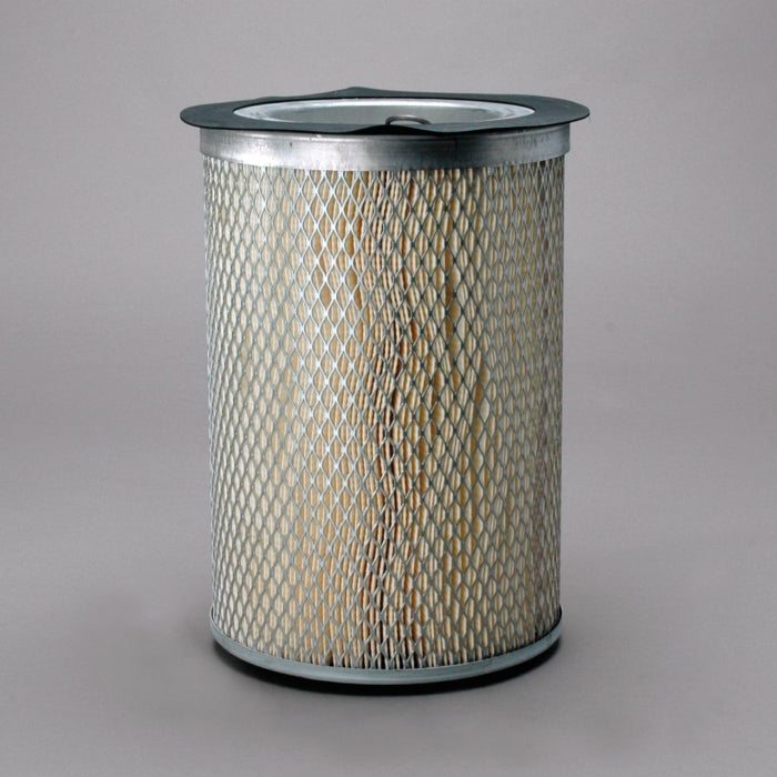 Donaldson P607096 Air Filter