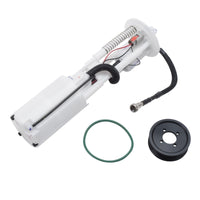 Thumbnail for Photo - Primary