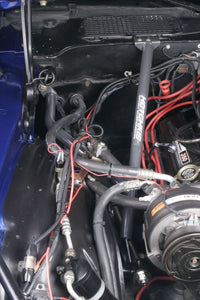 Thumbnail for Photo - Mounted