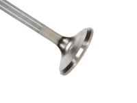 Thumbnail for Manley 92-00 Acura Integra / 99-00 Honda Civic 16 Valve 28.0mm Race Flo Flat Face Exh Valve (SINGLE)