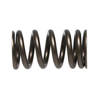 Thumbnail for User 2