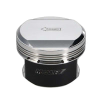 Thumbnail for User 5