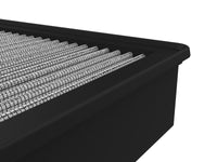 Thumbnail for Photo - Unmounted