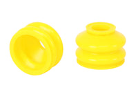 Thumbnail for Photo - Primary