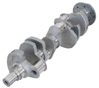 Thumbnail for Photo - Primary