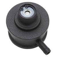 Thumbnail for Photo - Unmounted