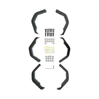 Thumbnail for Photo - Unmounted