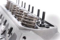 Thumbnail for Photo - Unmounted