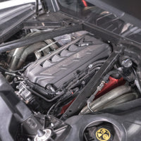 Thumbnail for Photo - Mounted