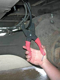 Thumbnail for Photo - Unmounted