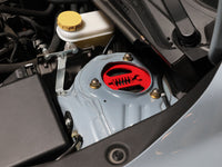 Thumbnail for Photo - Mounted