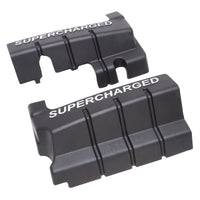 Thumbnail for Photo - Primary