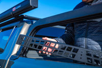 Thumbnail for Photo - Mounted