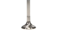 Thumbnail for User 3