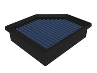 Thumbnail for Photo - Primary