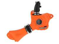 Thumbnail for Photo - Unmounted