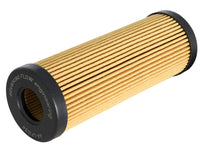 Thumbnail for Photo - Unmounted