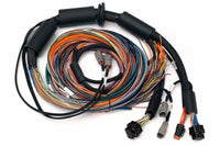 Thumbnail for Haltech NEXUS R3 Universal Wire-In Harness - 2.5M (8ft)