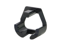 Thumbnail for Photo - Primary