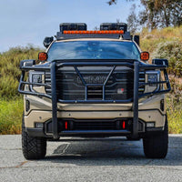 Thumbnail for Photo - Mounted