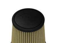 Thumbnail for Photo - Close Up