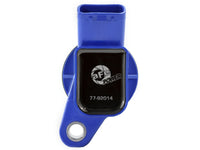 Thumbnail for Photo - Unmounted