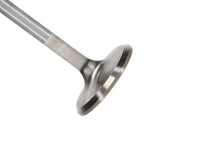 Thumbnail for Manley Ford 4.6L 34mm Diameter 117.35mm Length Race Master Exhaust Valves (Set of 8)