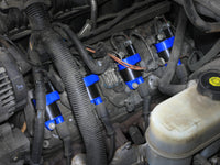 Thumbnail for Photo - Mounted