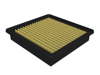 Thumbnail for Photo - Primary