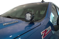 Thumbnail for Photo - Mounted