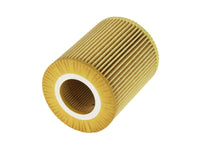 Thumbnail for Photo - Unmounted