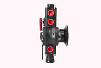 Thumbnail for Photo - Close Up