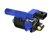 Thumbnail for Photo - Unmounted