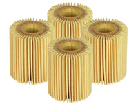 Thumbnail for Photo - Primary