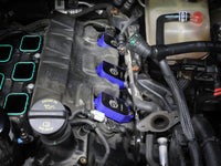 Thumbnail for Photo - Mounted