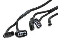 Thumbnail for Photo - Unmounted