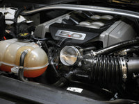 Thumbnail for Photo - Mounted