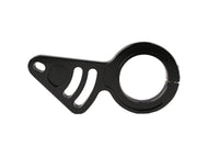 Thumbnail for Photo - Primary