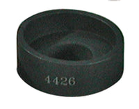 Thumbnail for Photo - Primary